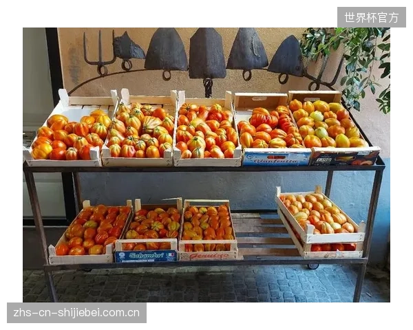随着户外运动节的兴起，Myrtha可快速拆装的临时泳池将在2026年迎来爆发式增长